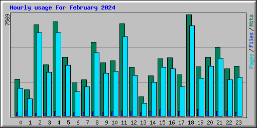 Hourly usage for February 2024